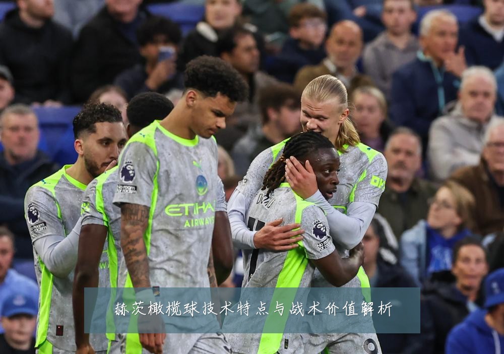 赫茨橄榄球技术特点与战术价值解析